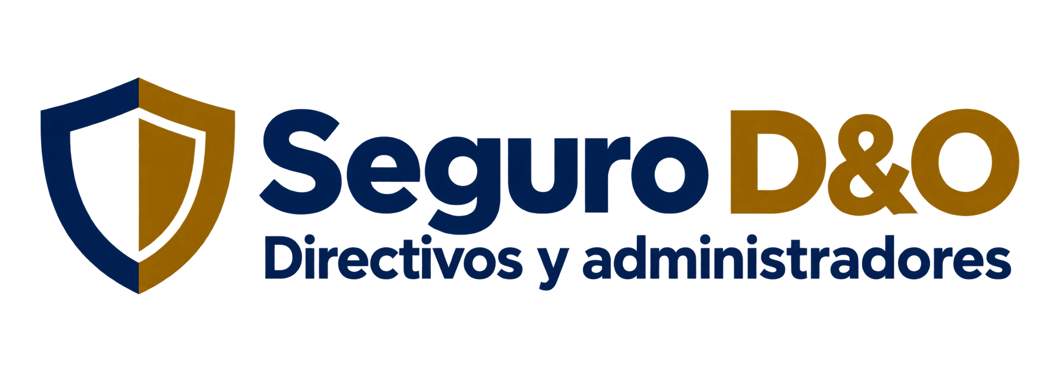 Seguro D&O